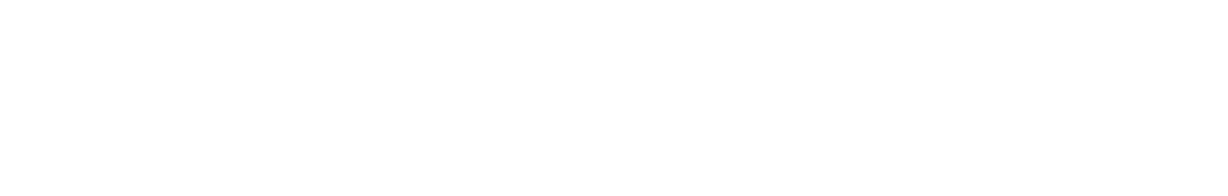Secure Travel Payments